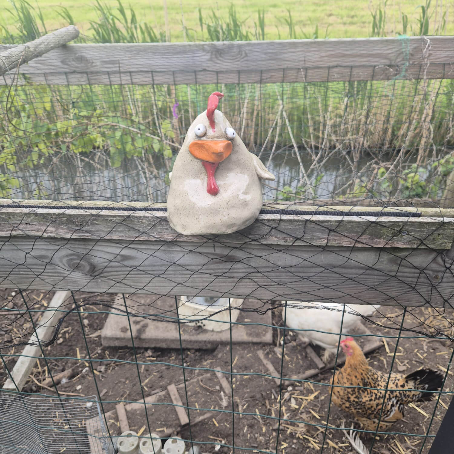 Keramiek kip strippenkaart zelf boetseren buiten winter